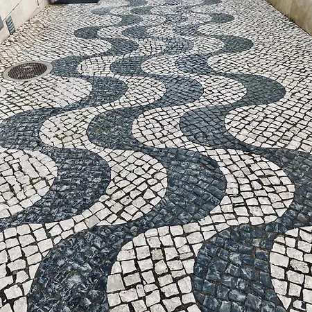 Flor Do Galvao * Lagos